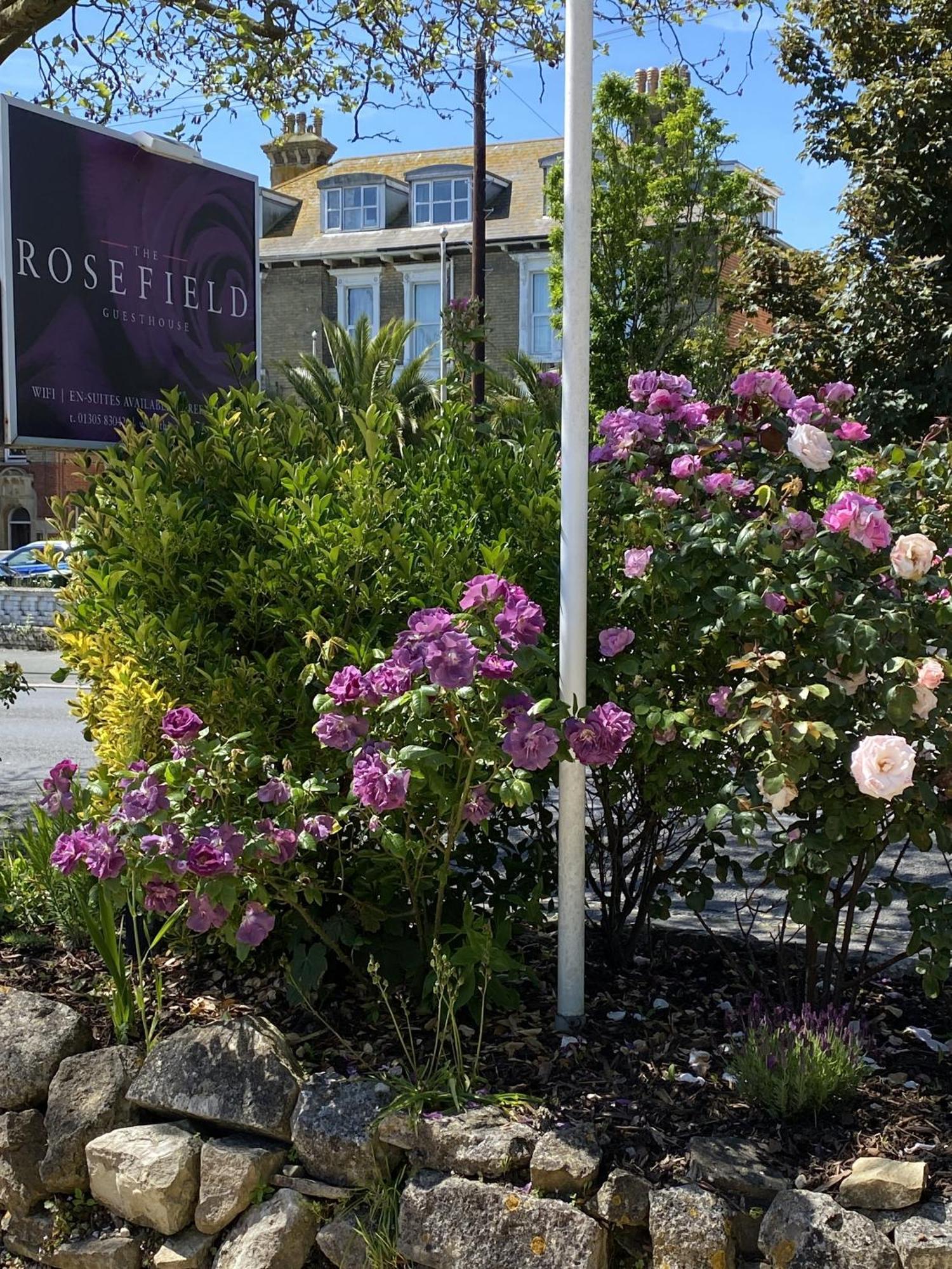 Hotel The Rosefield Weymouth Esterno foto